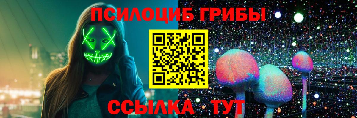 Псилоцибиновые грибы прущие грибы Гурьевск