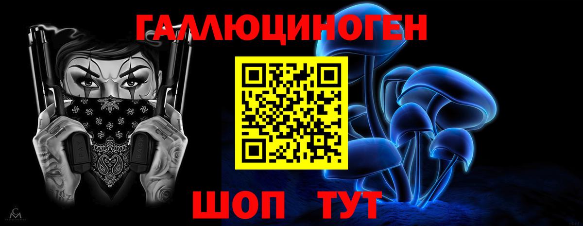 Гурьевск  Галлюциногенные грибы Cubensis  Вход с VPN 